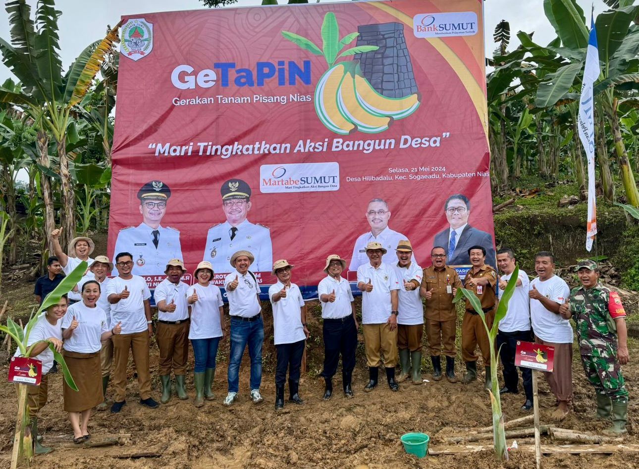 Bank Sumut Berharap Pisang Nias Mendunia Melalui Program Getapin